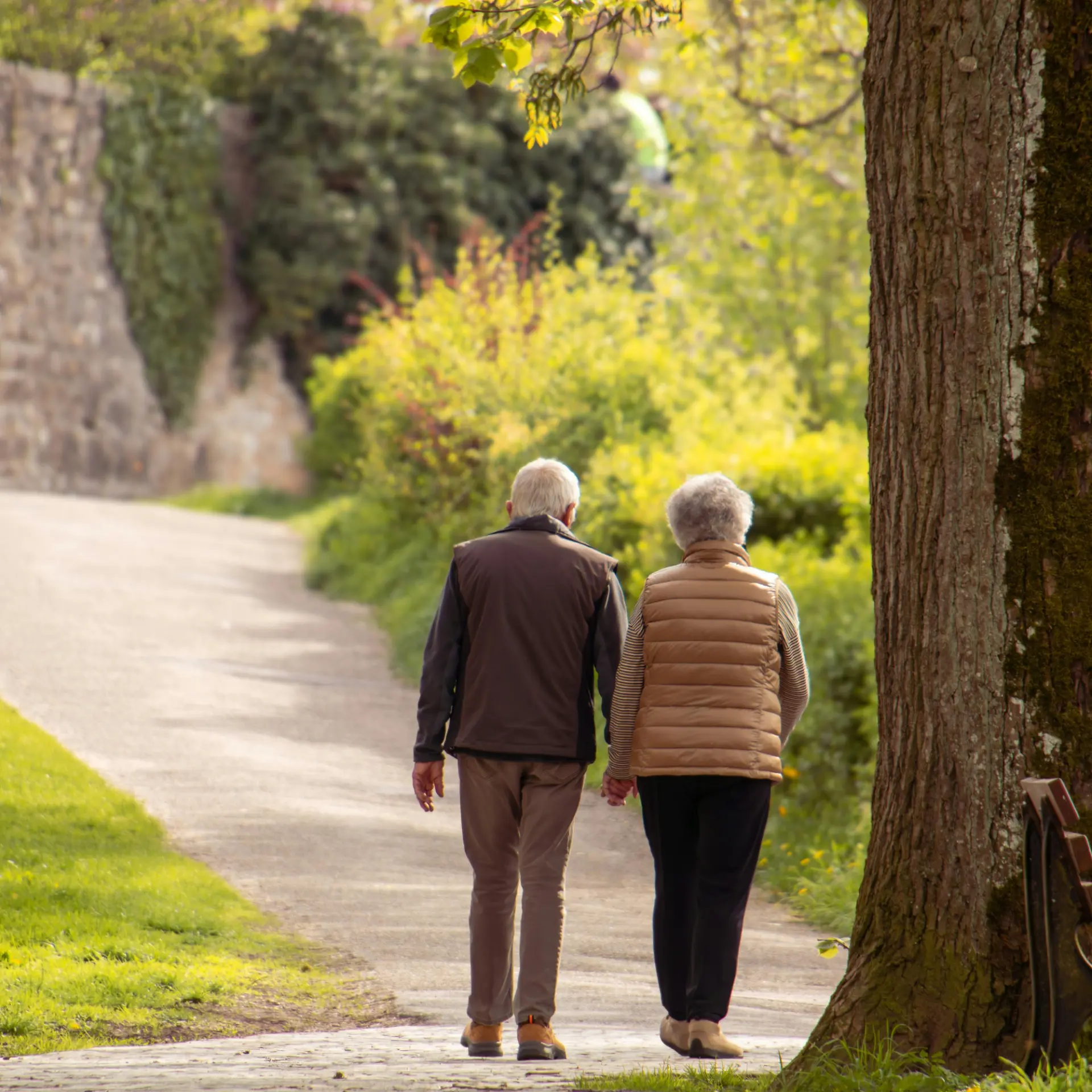 Senior couple walking hand in hand along a sunlit garden path