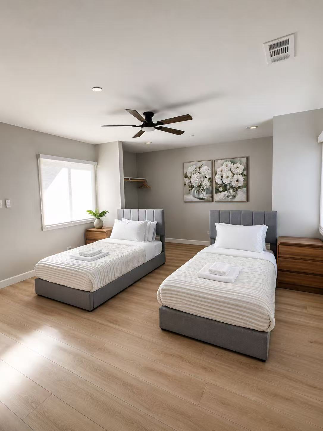Companion Suite